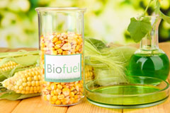 Bog biofuel availability